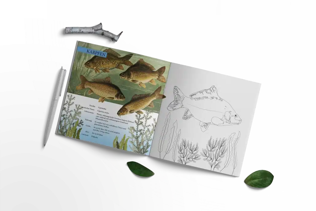 Fangbuch für Jungangler Kopie