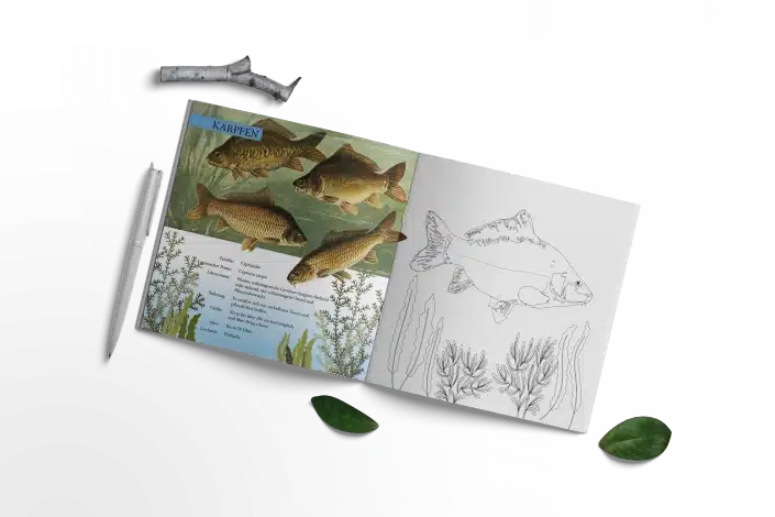 Fangbuch für Jungangler Kopie