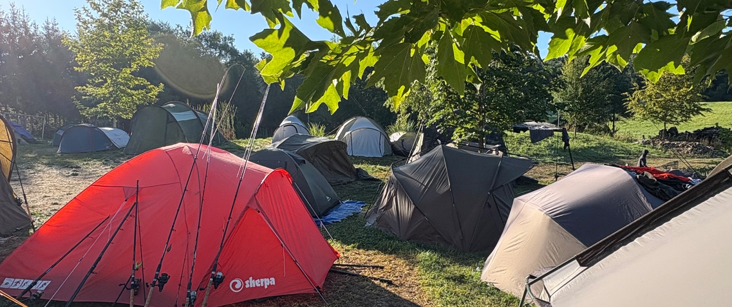 Viele Zelte under Bäumen